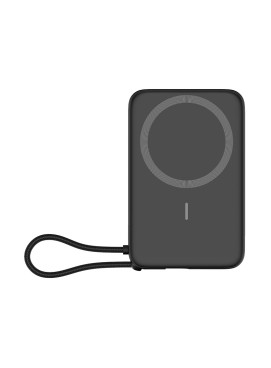 Portable Fast-Charge Power Bank (10000mAh)