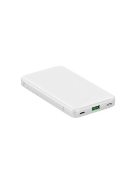 Dual-Cable Power Bank